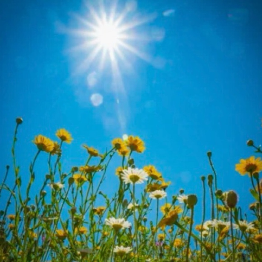 Meet your Posher, A sunny